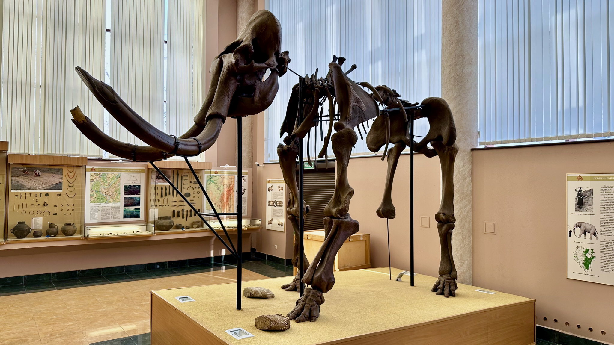 Палео...кто?