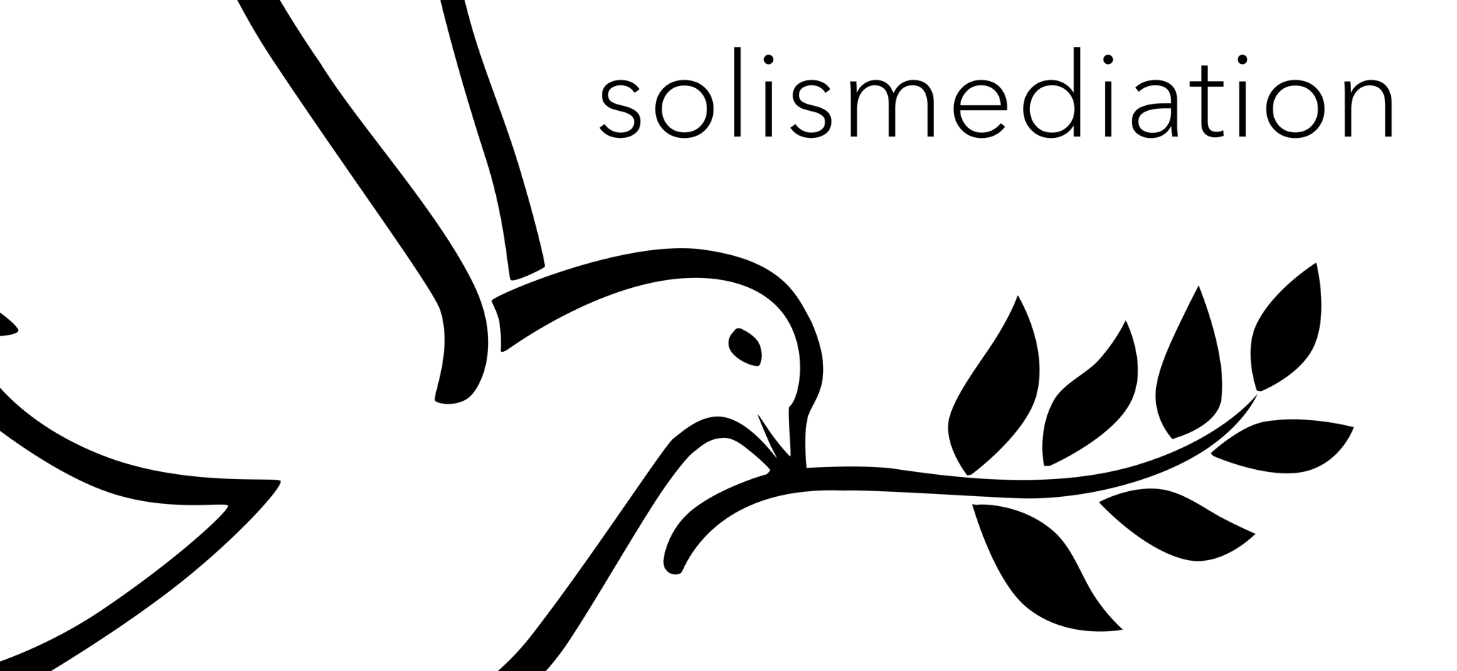 Центр медиации "Solis"