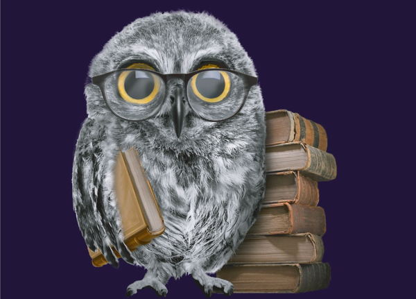 Библиосумерки в Детской библиотеке