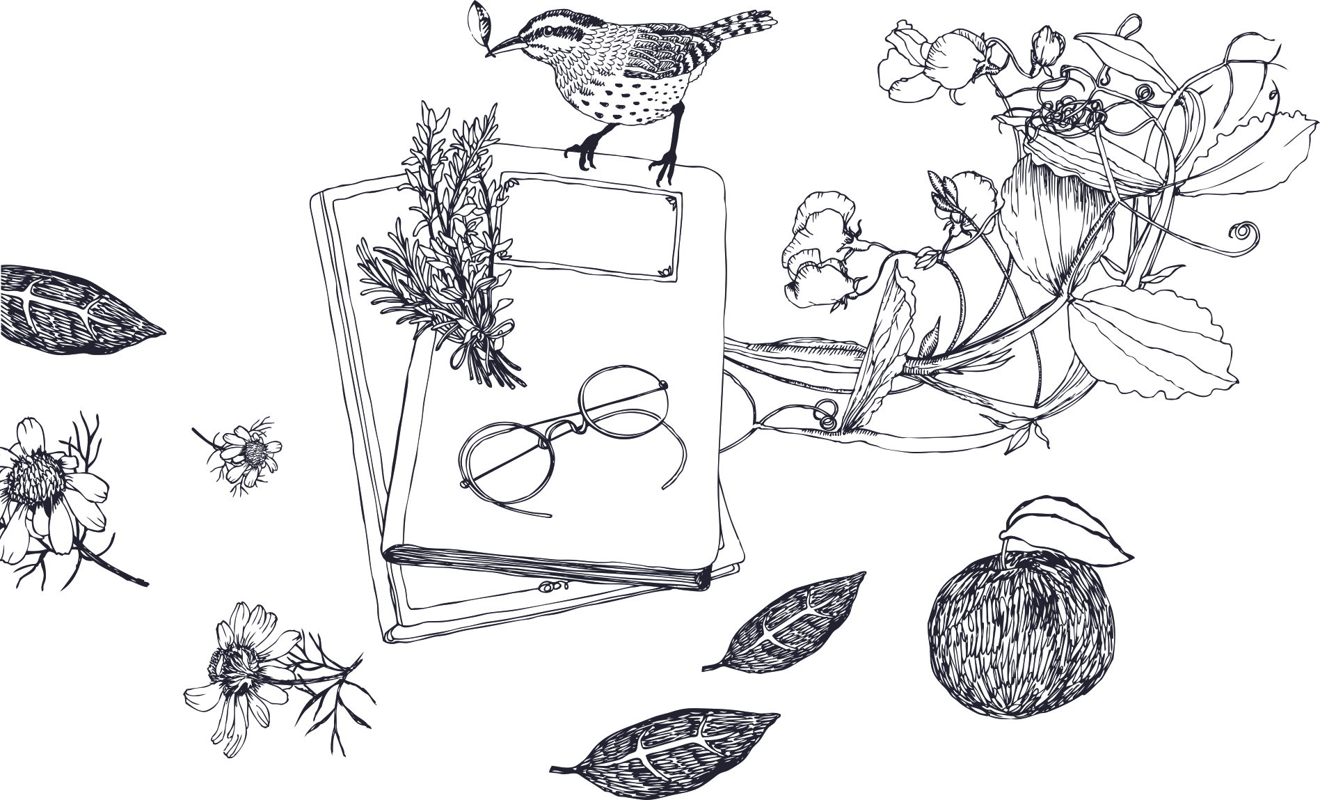 От переплета до фасона небанальный диалог о книгах и моде в России конца 19-го начала 20-го вв