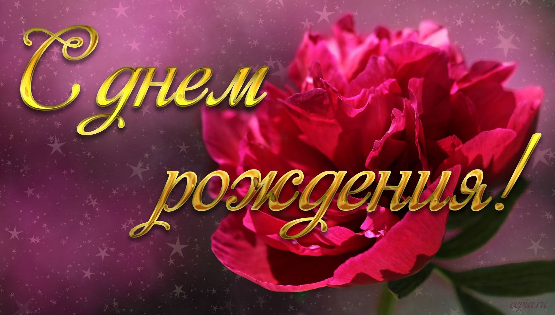 СЮР.PRESENT ШОУ