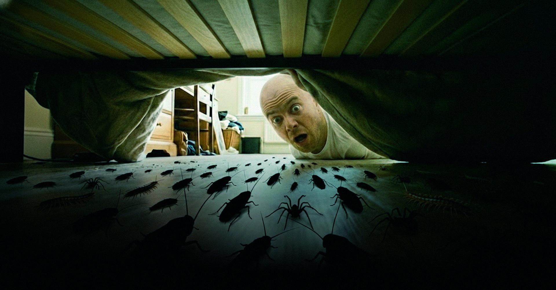 Онлайн-лекция "Кто-кто в теремочке живёт? Наши незаметные соседи по квартире"