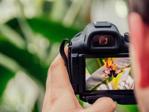 Серия мастер-классов по фотографии