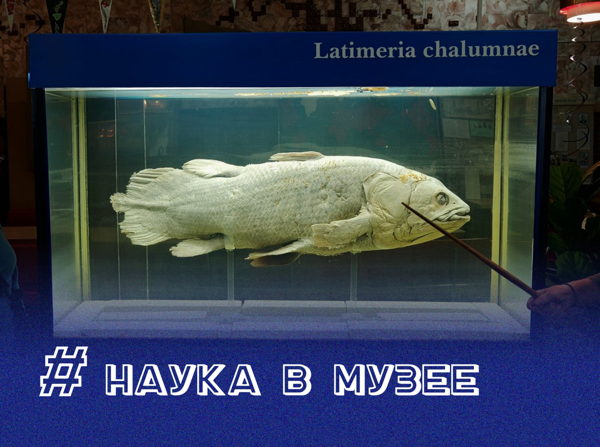 «Наука об океане»