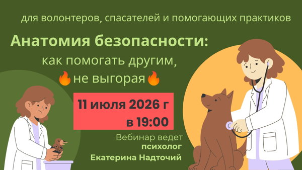 Анатомия безопасности: Как спасать других, не сгорая самому