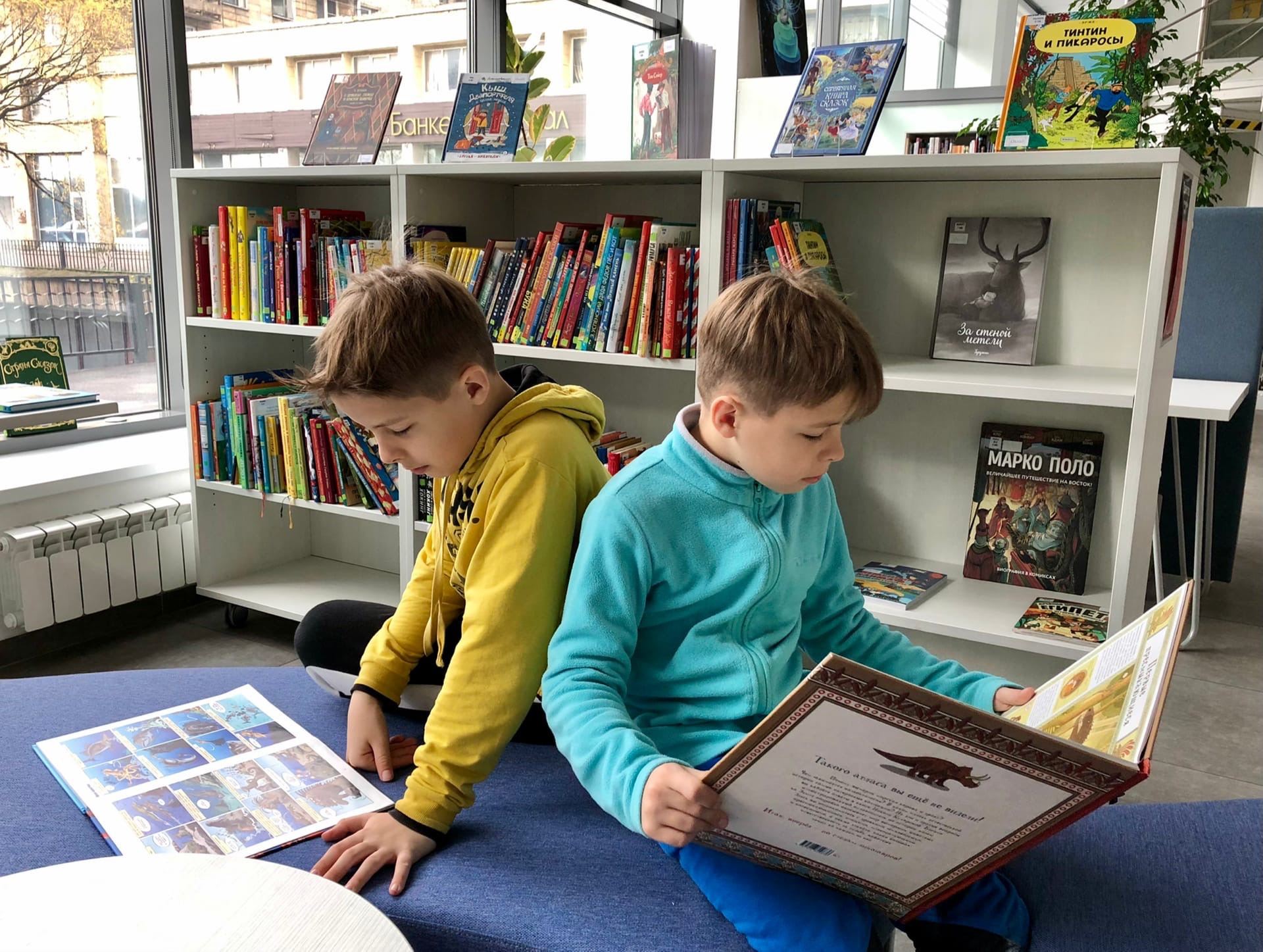 Свидетели древних морей: Ленинградская область миллионы лет назад