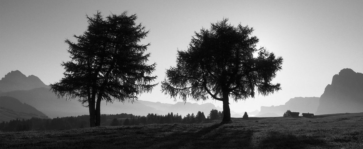 Консультирование ключевой команды в организации