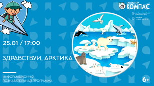 Здравствуй, Арктика (6+)