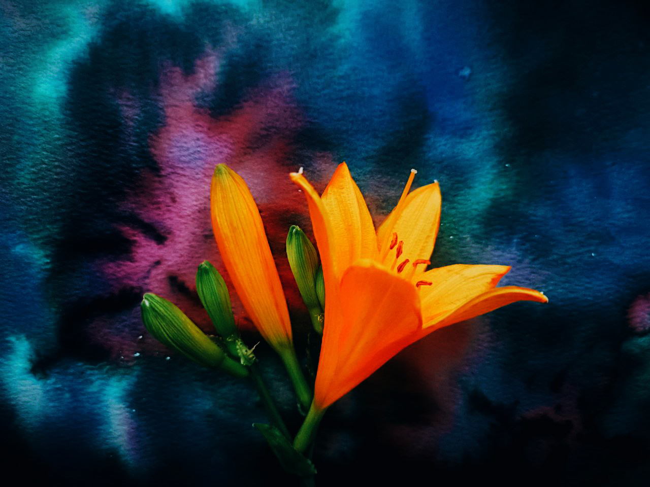 Коллажный мастер-класс «Создавая Вселенную»