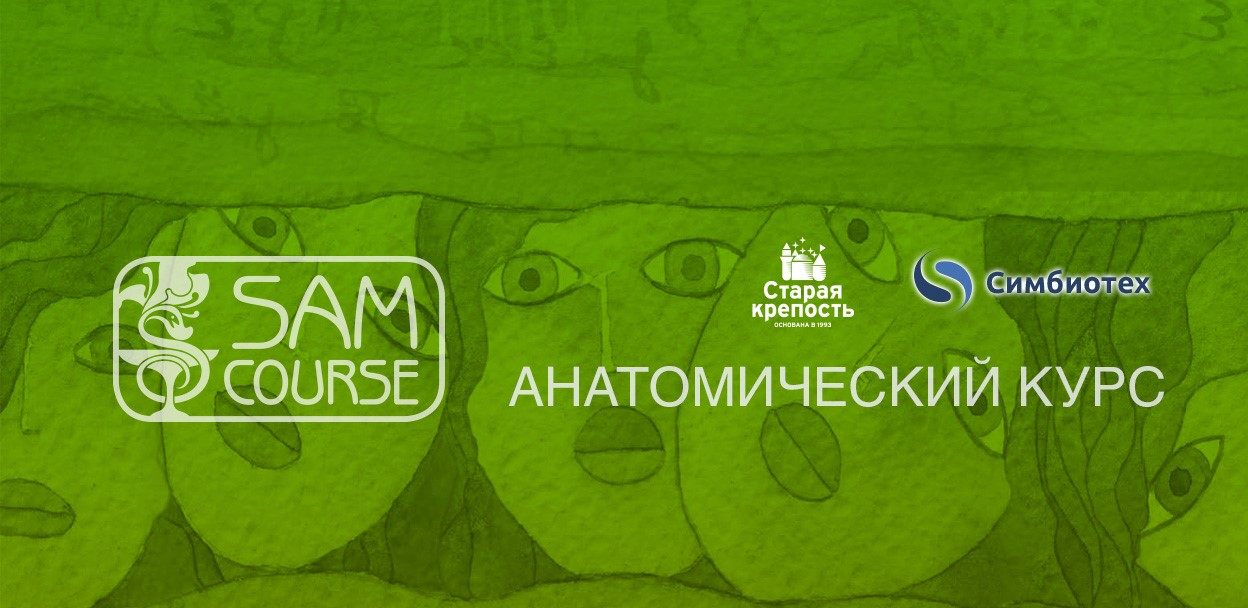 Анатомический курс. Анатомический курс. Интенсив по анатомии pencilkings. Топографическая анатомия учебник кованов. Анатомический курс.