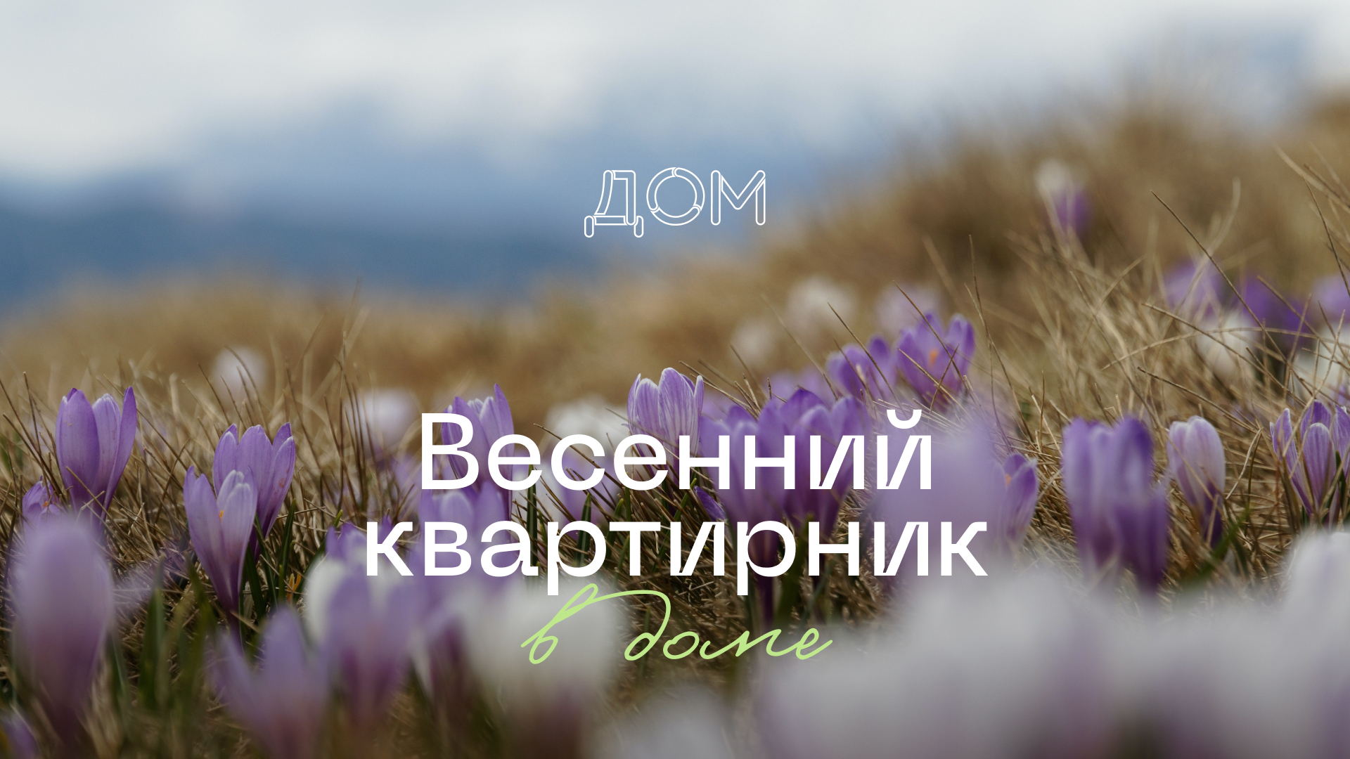 Весенний квартирник. ДОМ