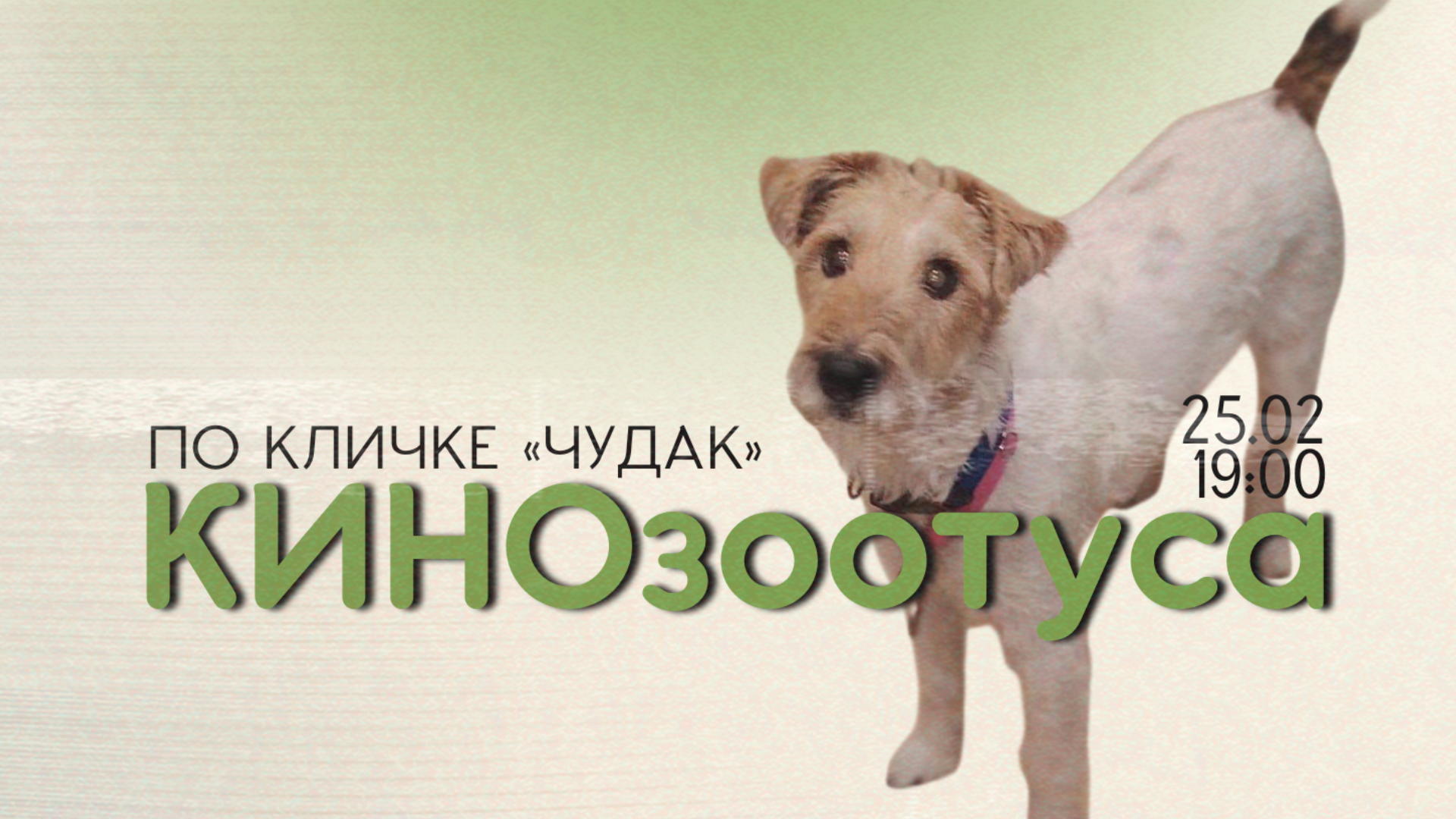 КИНОзоотуса