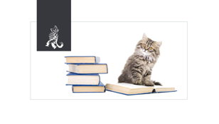 Интерактив «Моя любимая книга о животных»      