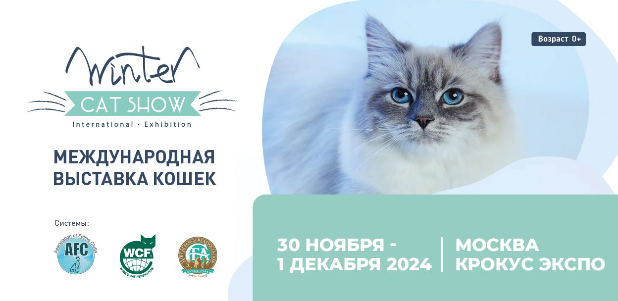 Международная выставка кошек Winter Cat Show 2024