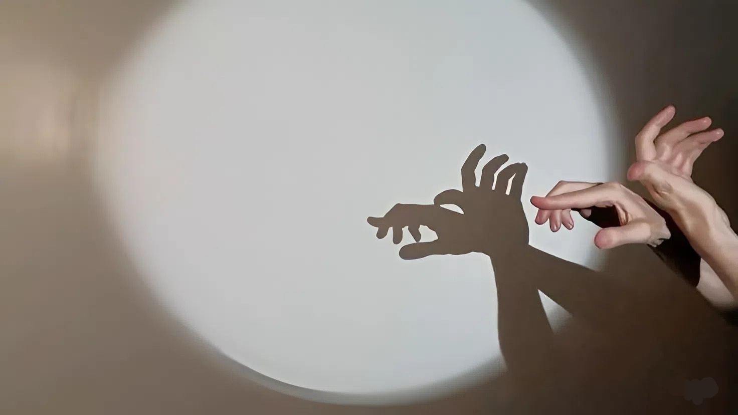 Салочки-тени