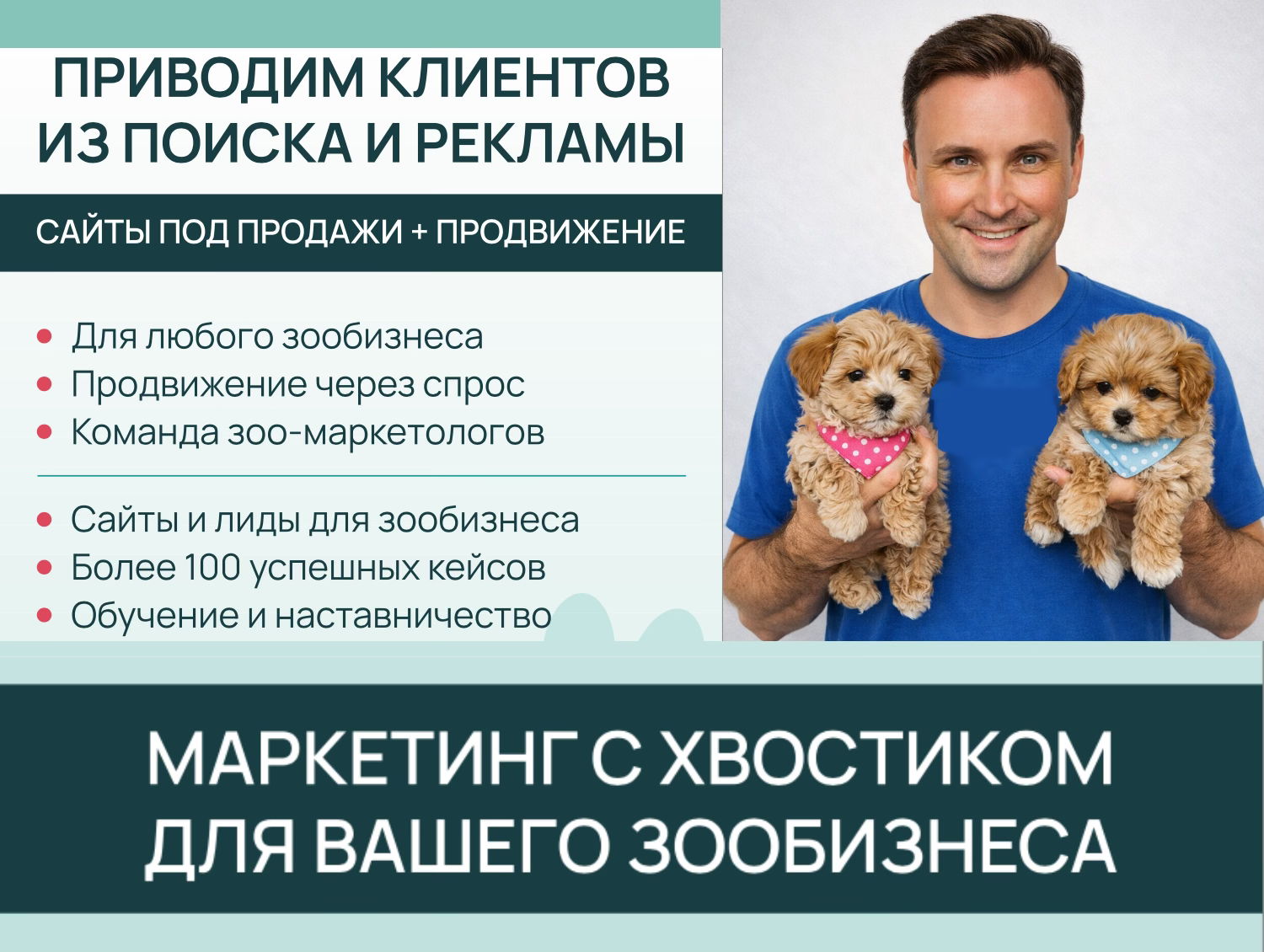 Онлайн-вебинар "Продвижение зоо-бизнеса в Интернете"