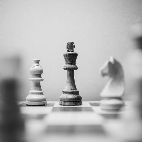 Систематический порядок : шахматная книга жизни