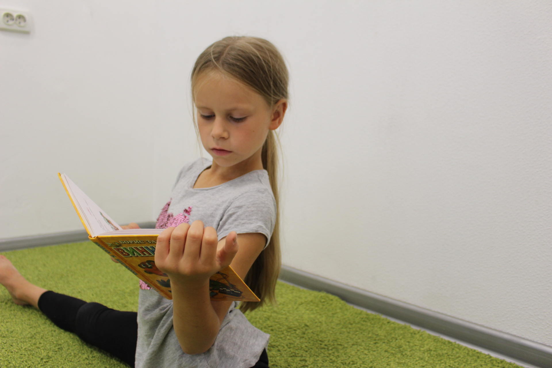 Чтение и скорочтение. Грамотность, письмо. Как воспитать грамотного читающего ребёнка