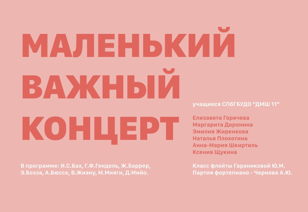 Маленький важный концерт