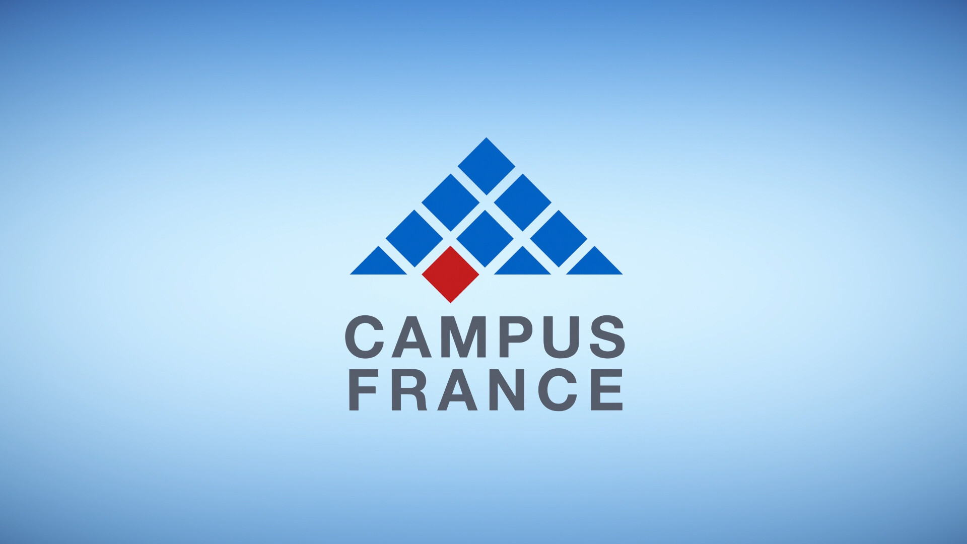 Встреча с координатором программ по обучению во Франции