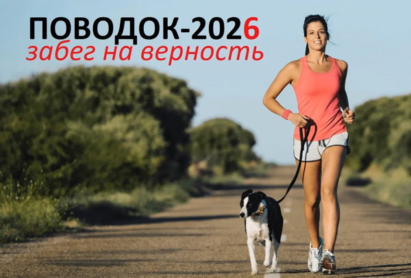 Поводок 2026