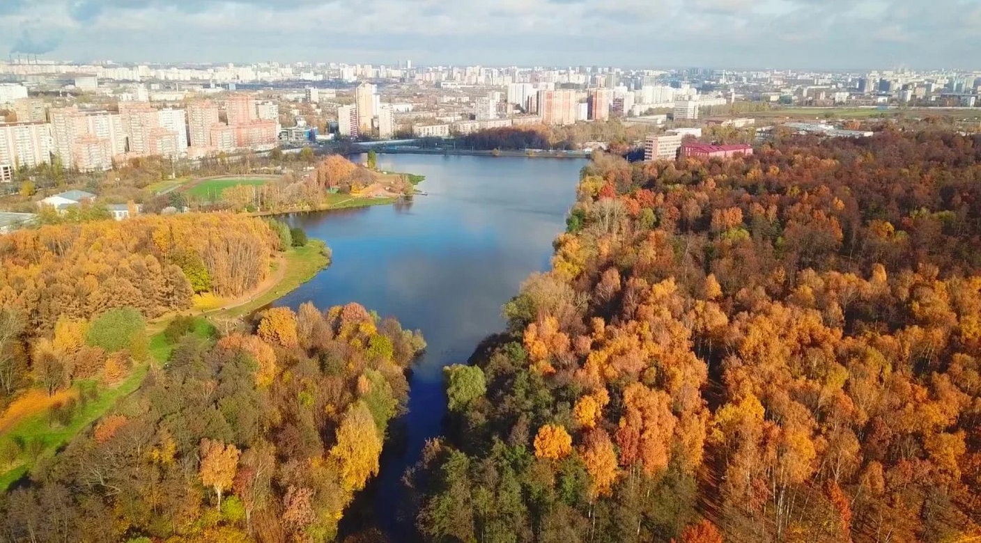 Экопрогулка Тимирязевский парк - Экология осени
