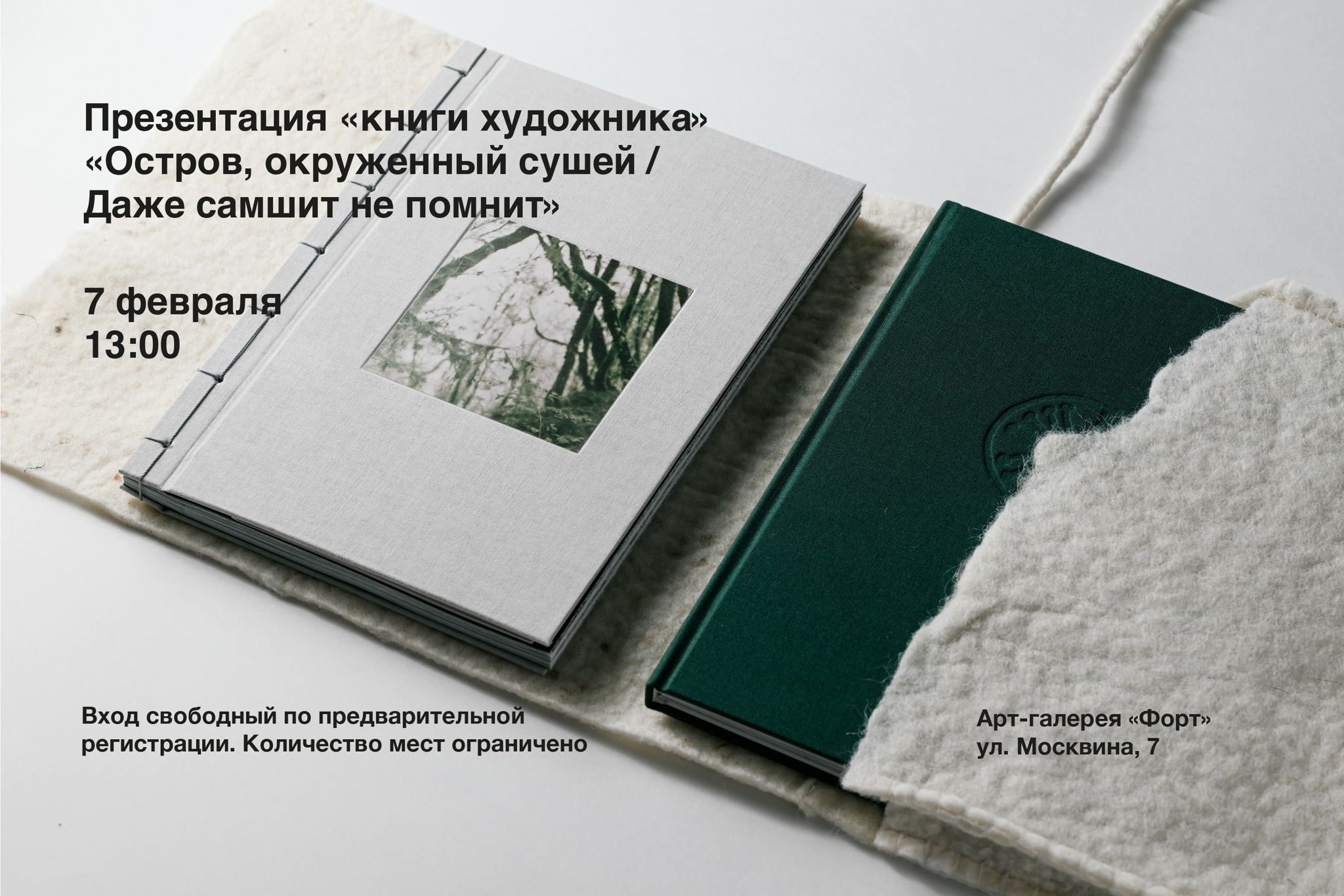 Презентация «книги художника» Лилит Матевосян «Остров, окруженный сушей / Даже самшит не помнит»