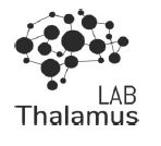 Лаборатория управленческих нейронаук «Thalamus LAB» (РАНХиГС)