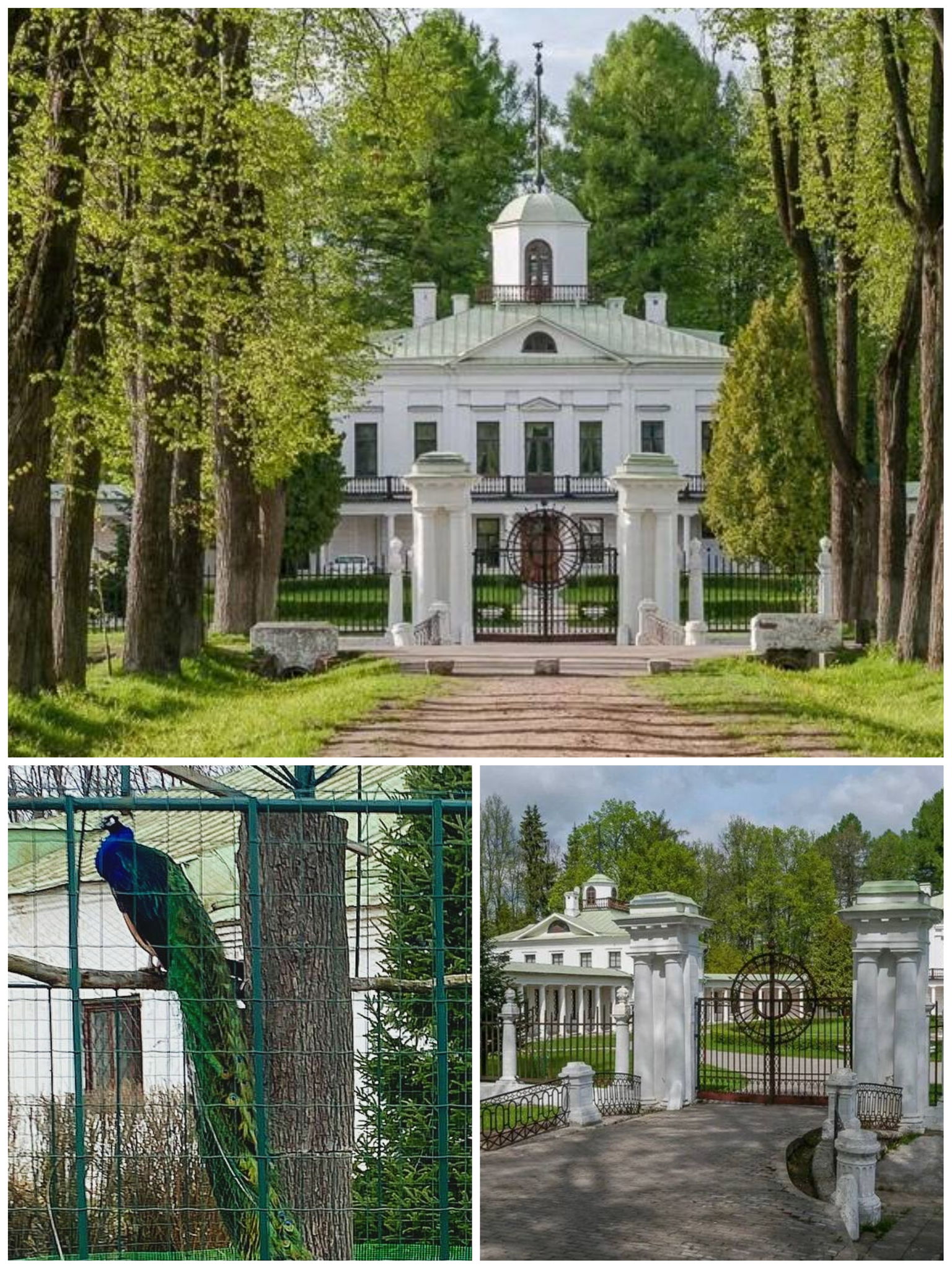 Пленэр в усадьбе Середниково