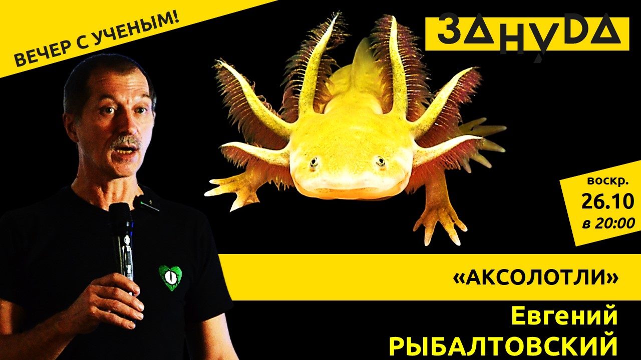 Евгений Рыбалтовский с лекцией: «Аксолотли»