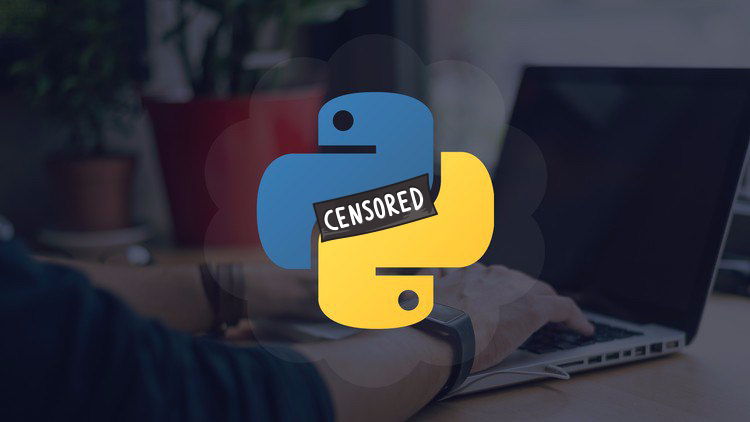 Python Community