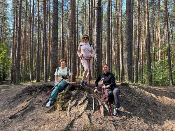 Лесная скандинавия