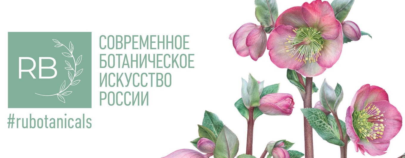 Открытие выставок «Мелодия моей души» и «Ботаника на кончике карандаша»