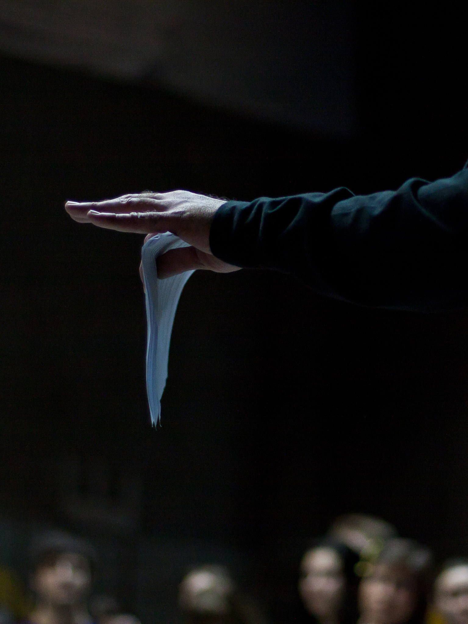 Актёрский тренинг С. Николишина