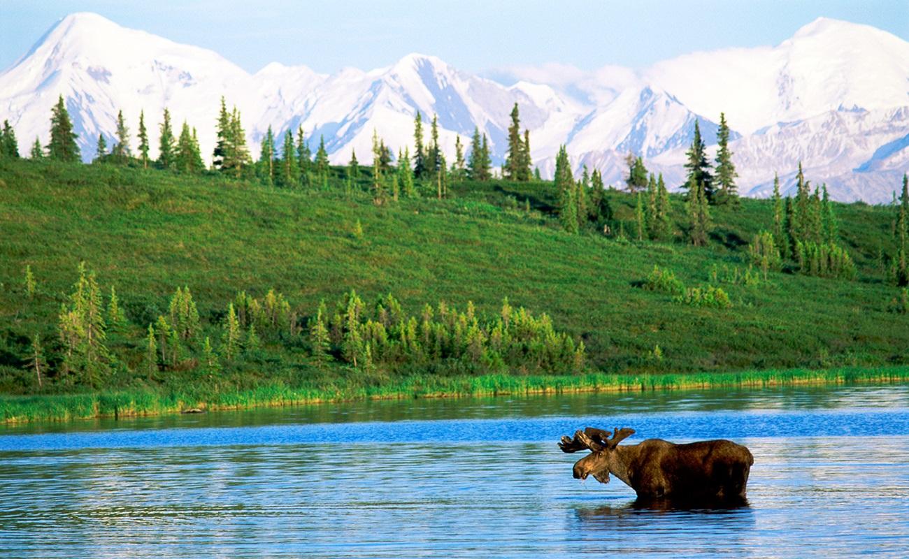 Заповедный дивный край