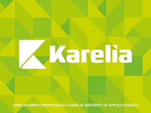 Финский университет KARELIA. Очная встреча с представителем университета на русском языке