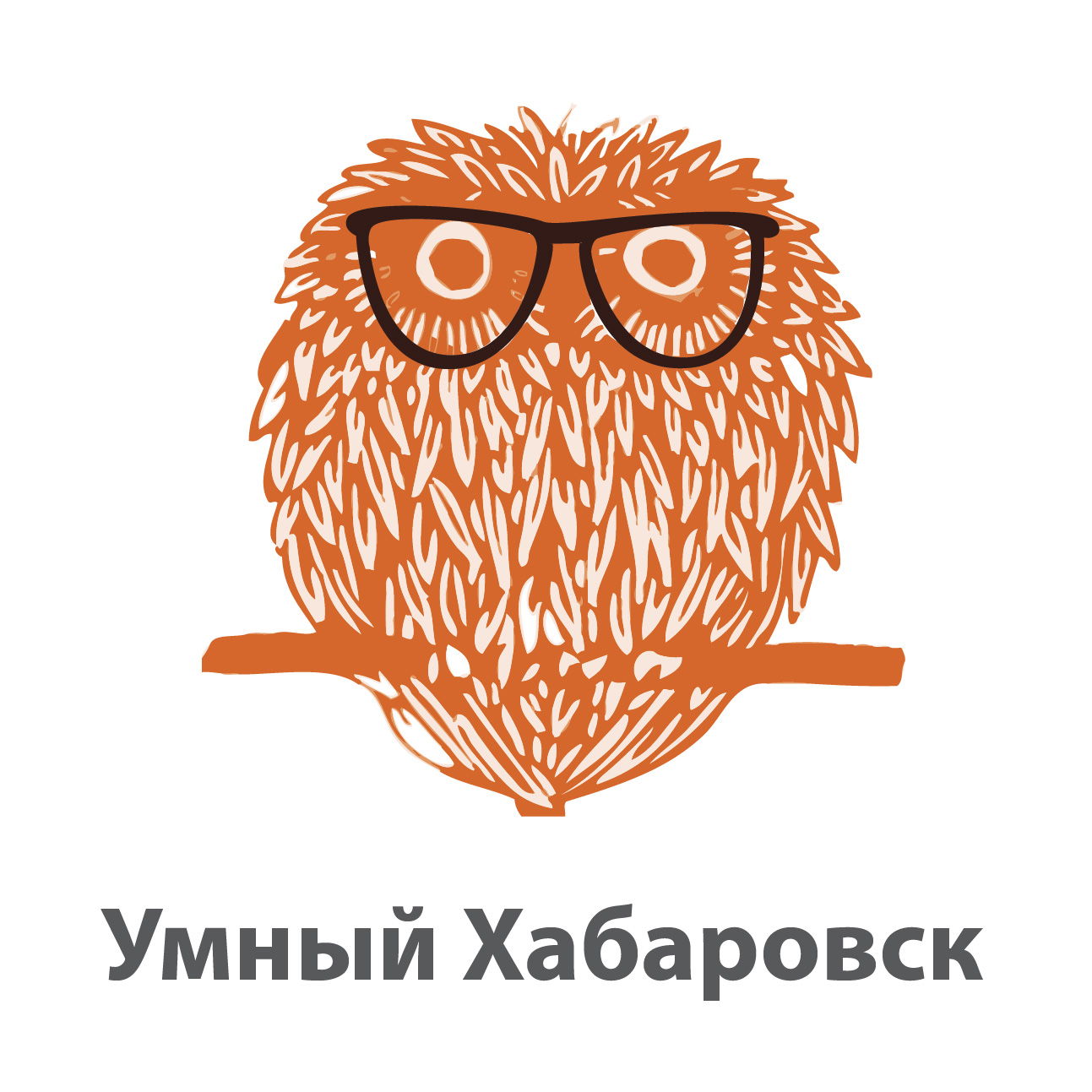 Умный Хабаровск