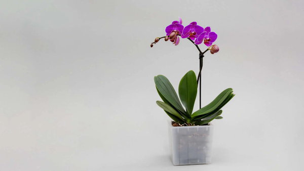 Новое событие