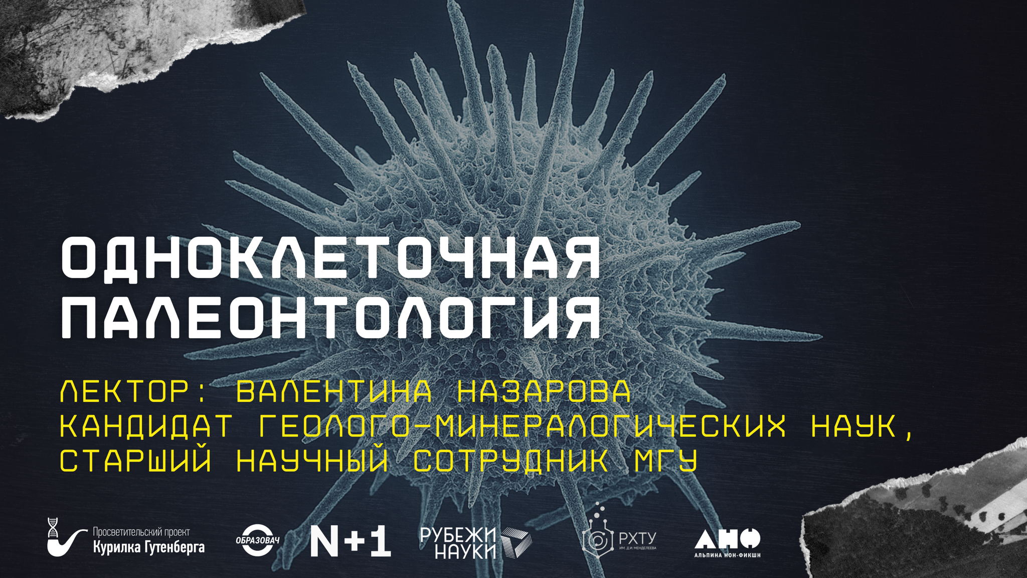 Валентина Назарова | Одноклеточная палеонтология