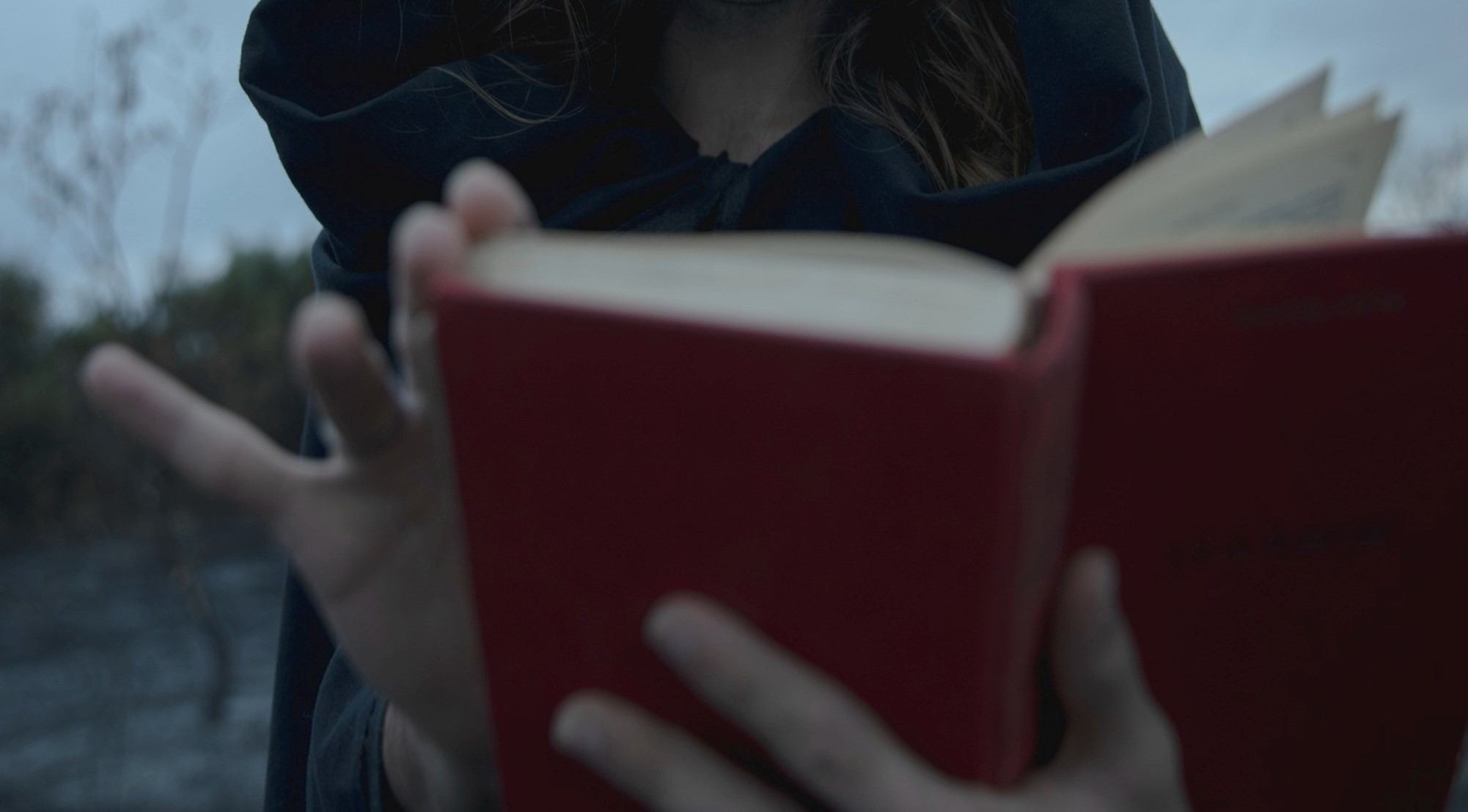 Тёмные стороны литературы: к чему приводят наркотики