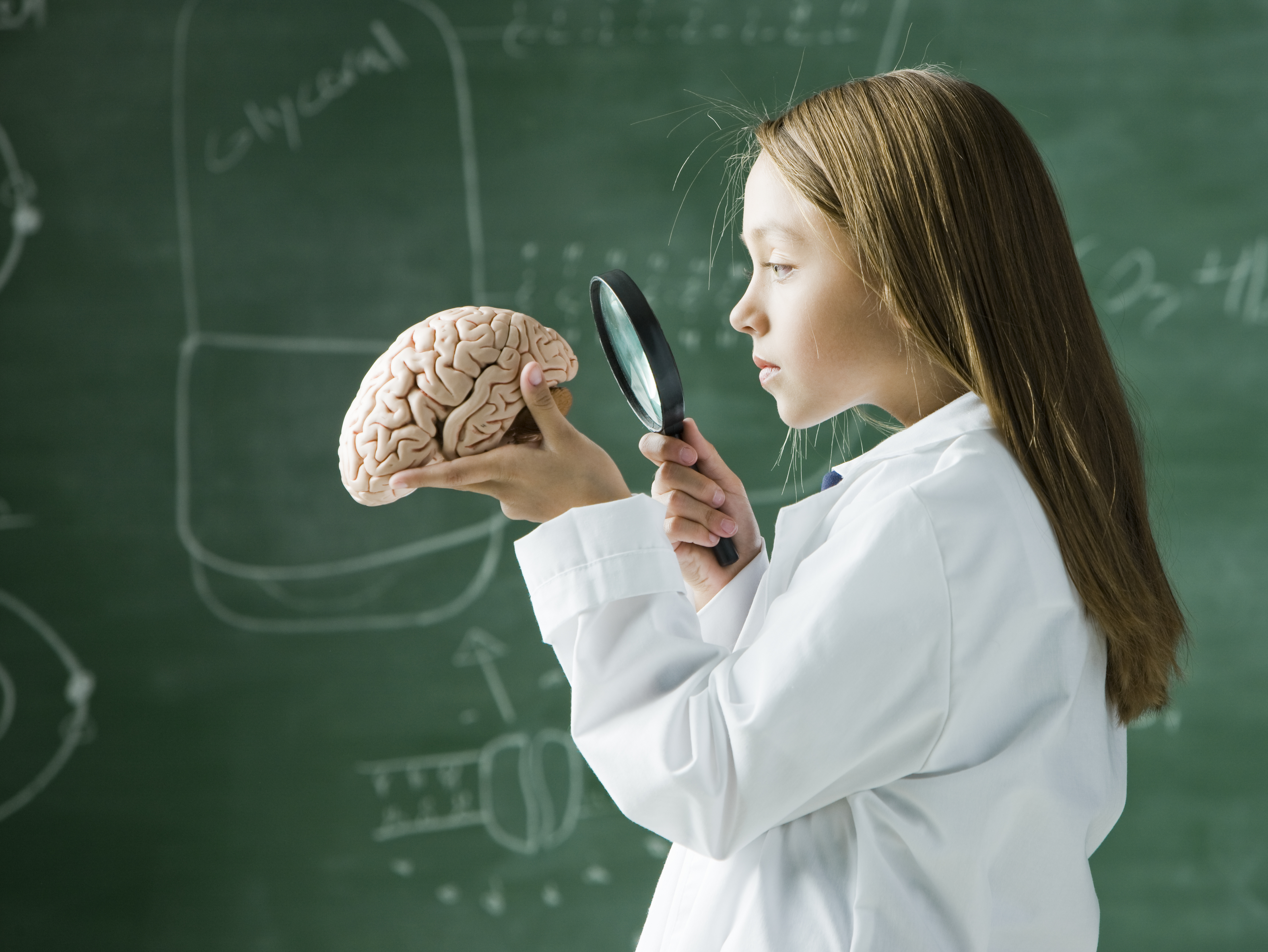 Изучение биологии в школе. Мозг ребенка. Интеллект ребенка. Интеллектуальные и умственные способности. Урок биологии.