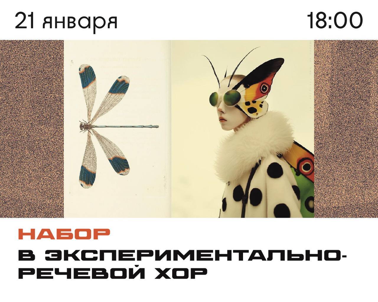 Открытый набор в эксперементально-речевой ХОР