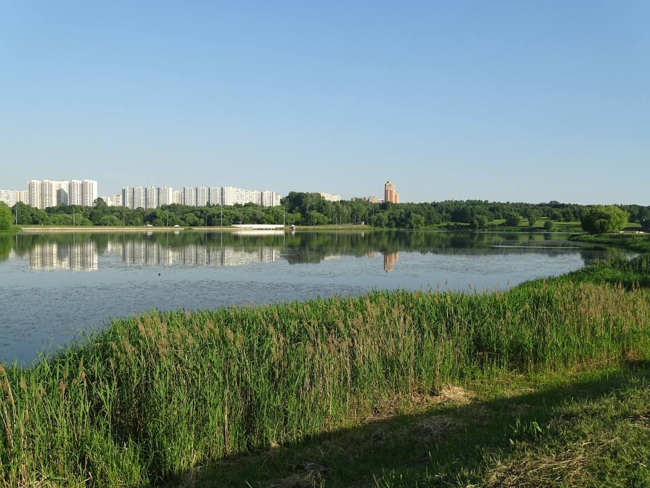 в 17:00 Экскурсия-поход "В Царицыно к чомгам и чайкам" с биологом Сергеем Хрибаром. 8+