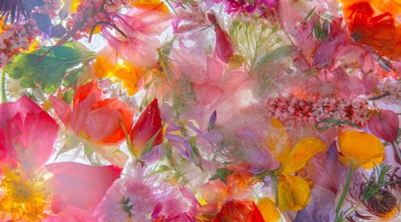 BEZ POVODA: мастер-класс по созданию букетов