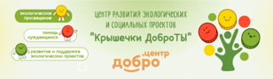 Серебряное волонтерство: возможности для активной жизни в любом возрасте