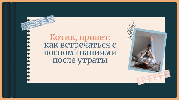 Котик, привет: как встречаться с воспоминаниями после утраты