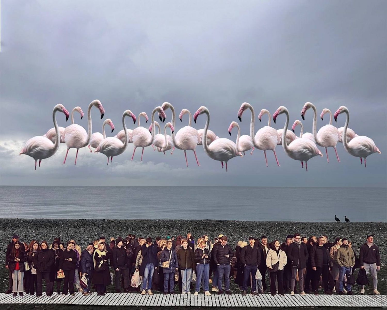 Артист-ток Tutta Gnutta (Наталии Гетьман)