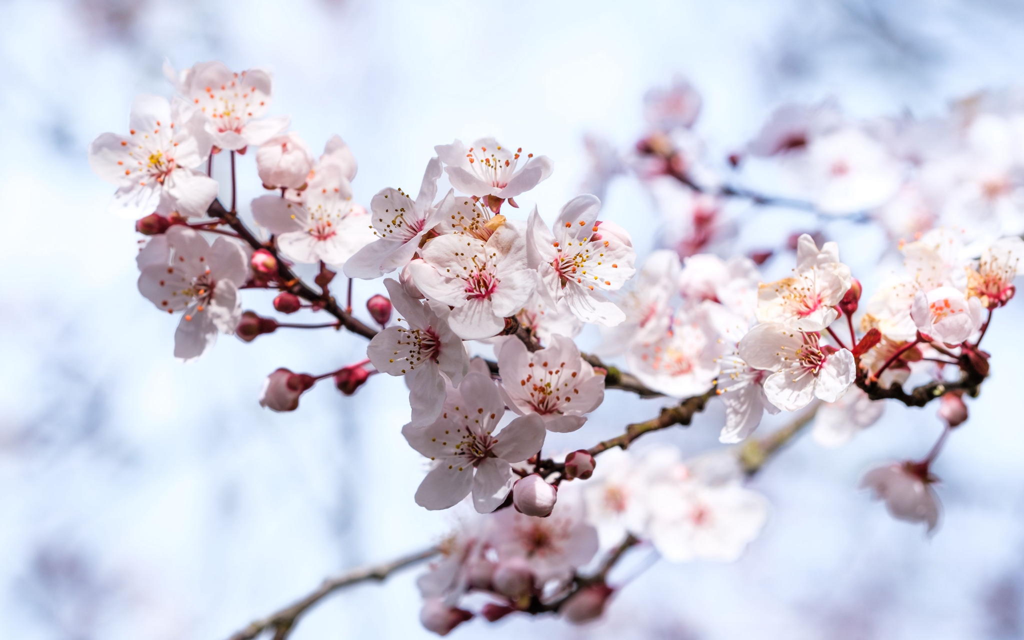 В ожидании весны