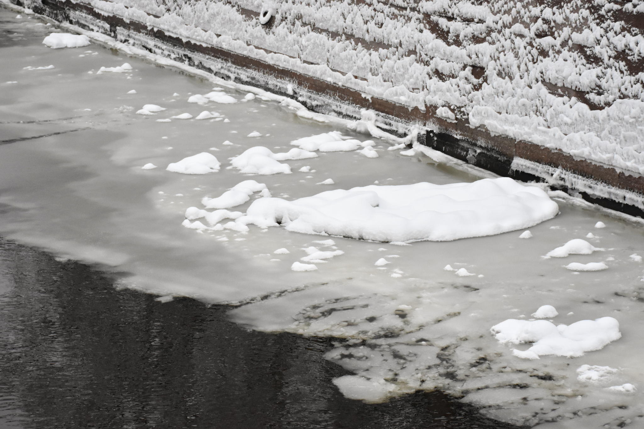 Пешеходный «Арктический квест»