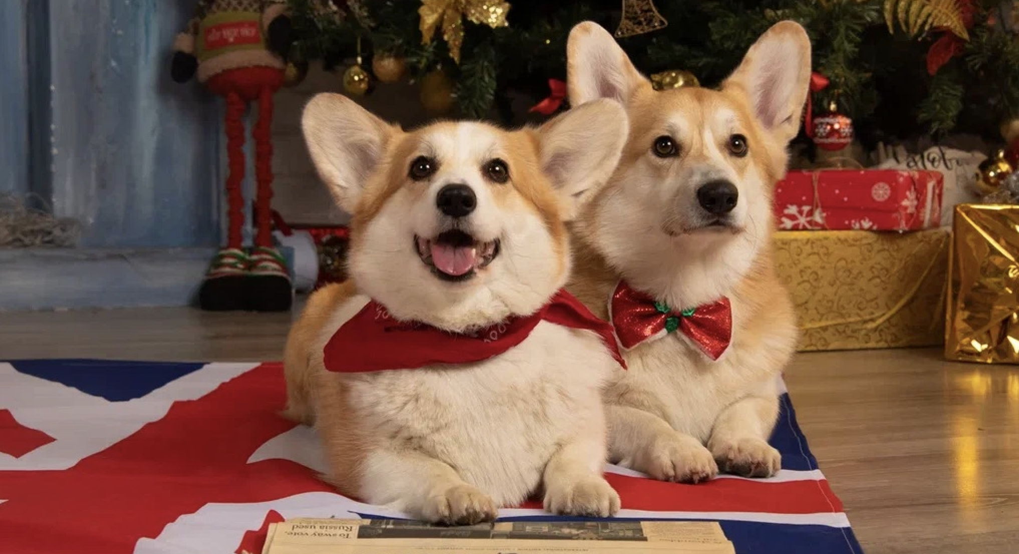 Интенсивный курс по произношению